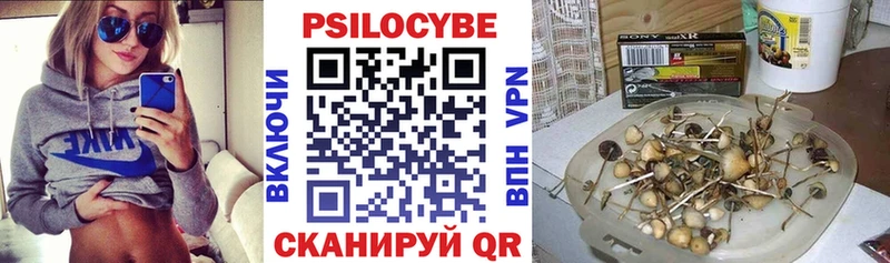 Псилоцибиновые грибы GOLDEN TEACHER  Купить закладки  Партизанск 